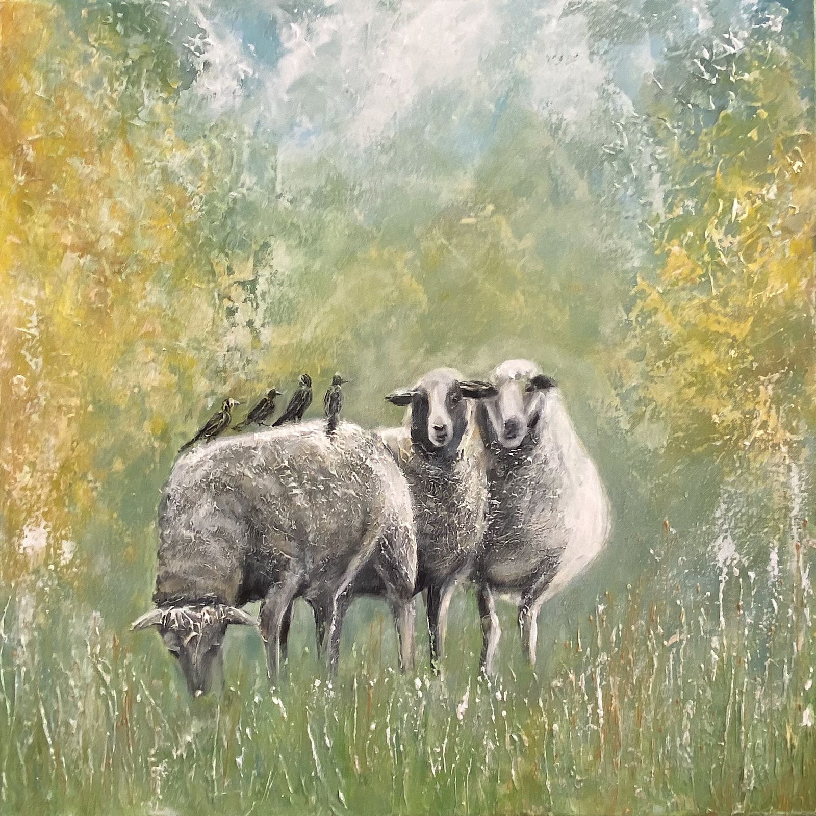 Veluwe sheep