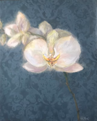 Orchidea