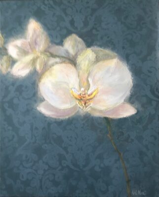 Orchidea
