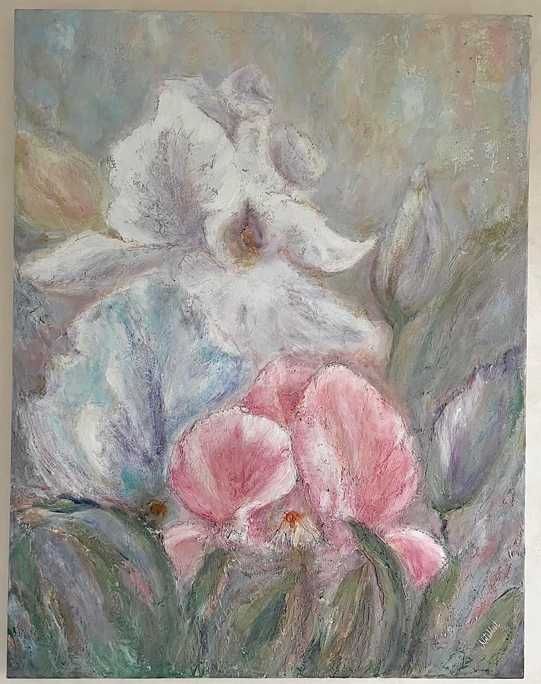 Iris